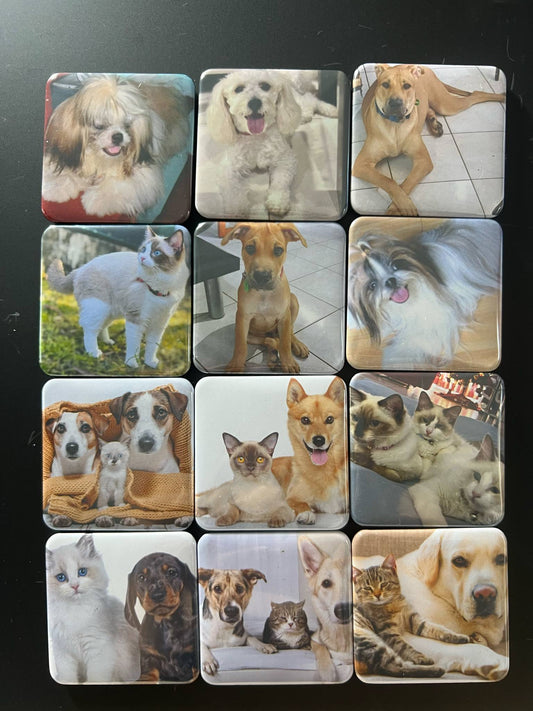 Personalised Photo Magnet